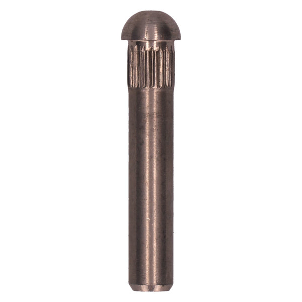 Pasador de bisagra de puerta 9,0 mm - acero inoxidable