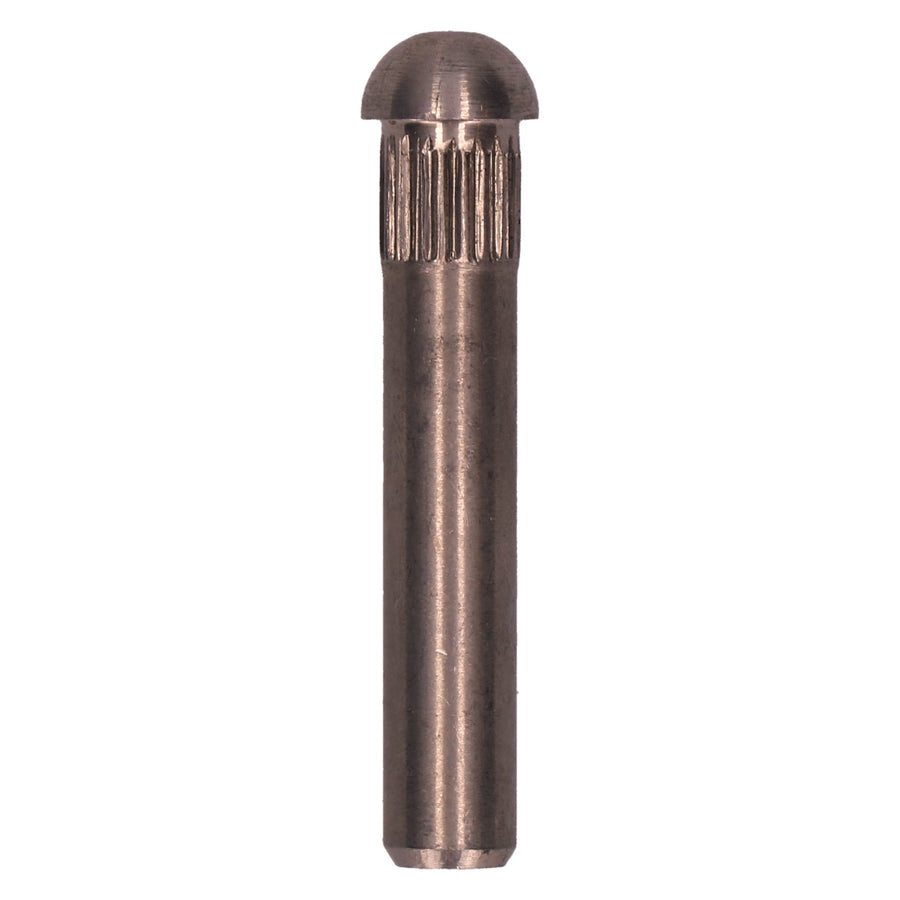 Pasador de bisagra de puerta 9,0 mm - acero inoxidable