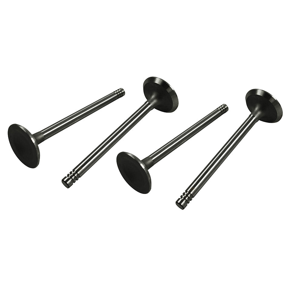 Válvulas de admisión 13-1600cc