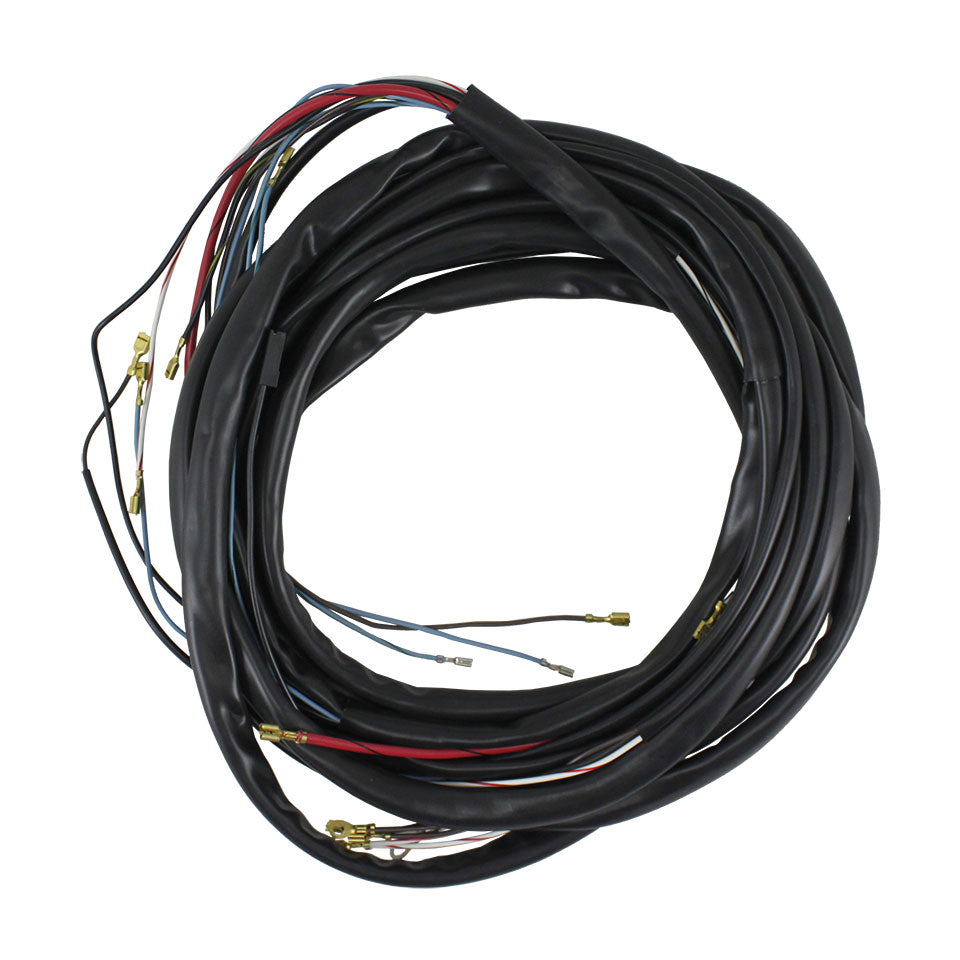 Arnés de cables (principal)