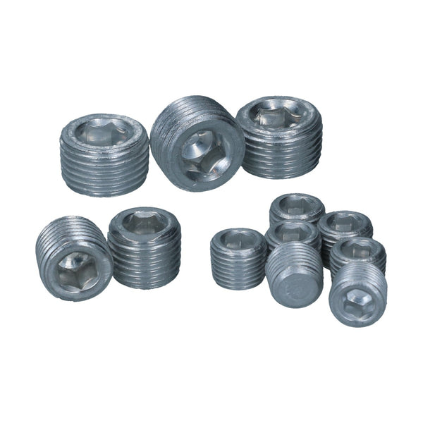 Juego de tapones de galera de aceite (12)