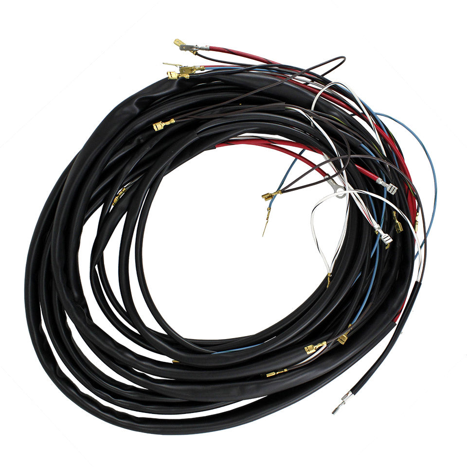 Arnés de cableado principal