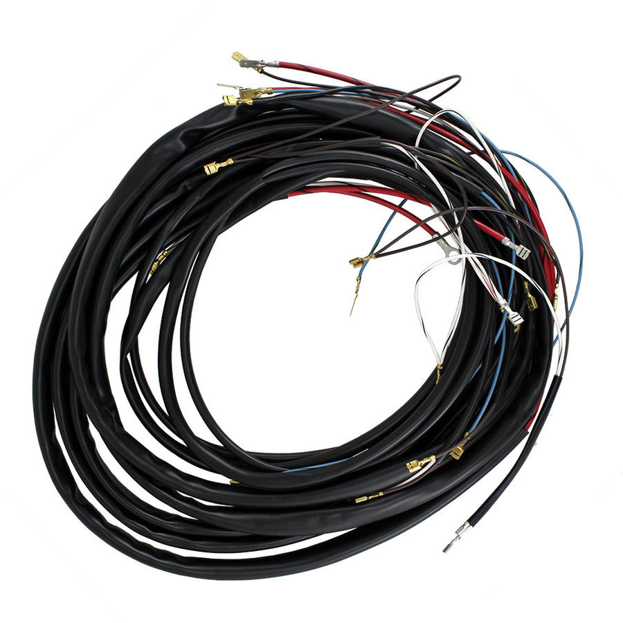 Arnés de cableado principal